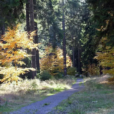 In Heubach In The Forest