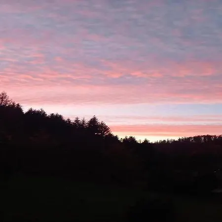 דירה In Heubach In The Forest