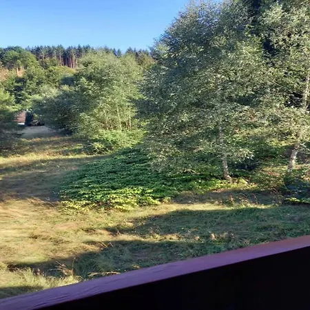 Cozy Near Trails * Gießübel