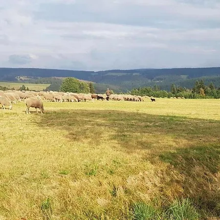In Heubach In The Forest דירה *