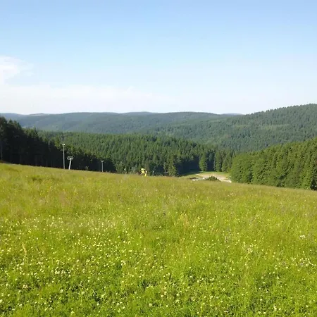 דירה In Heubach In The Forest *