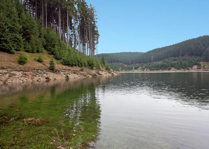 Cozy Near Trails * Gießübel