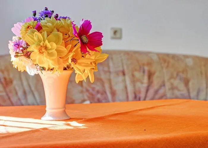 Cozy Near Trails Appartement