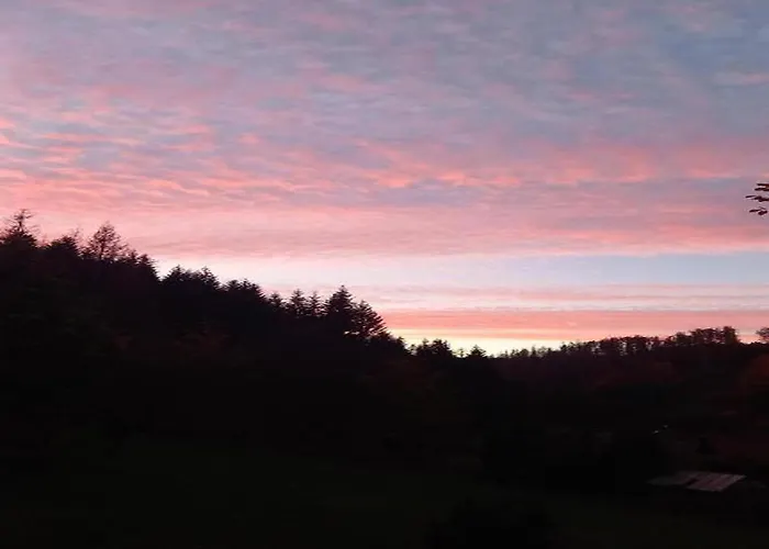 Appartement Cozy Near Trails