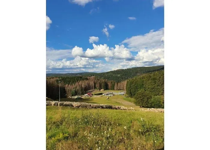 Appartement Cozy Near Trails Gießübel