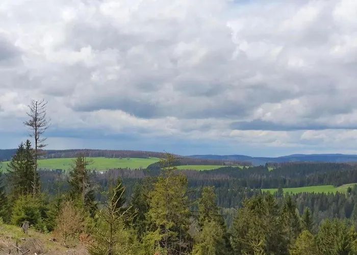 Cozy Near Trails Appartement