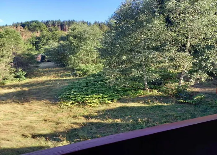 Cozy Near Trails * Gießübel