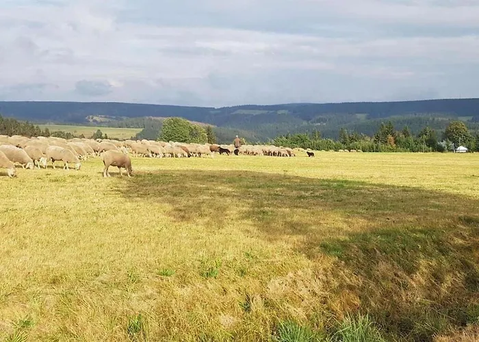 Cozy Near Trails Appartement *